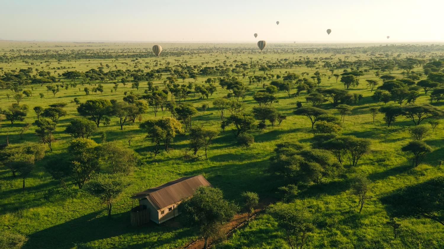Awali Serengeti Camp