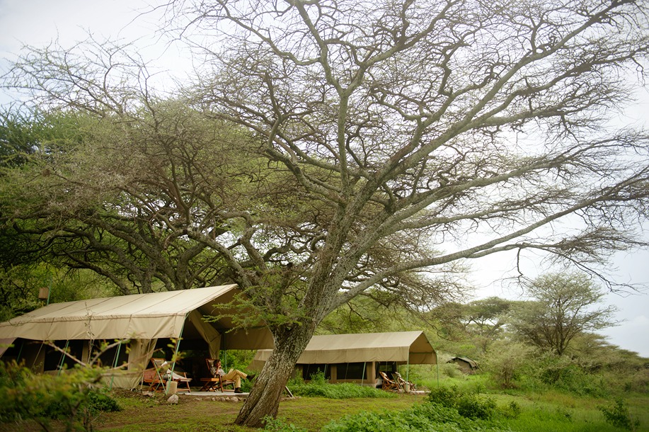 Esirai Camp exterior