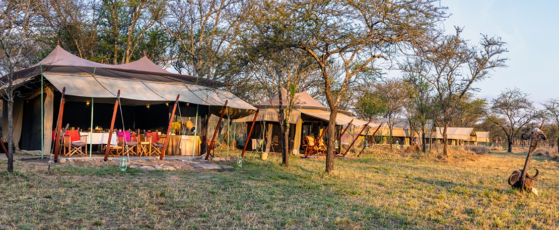 Esirai Camp tents