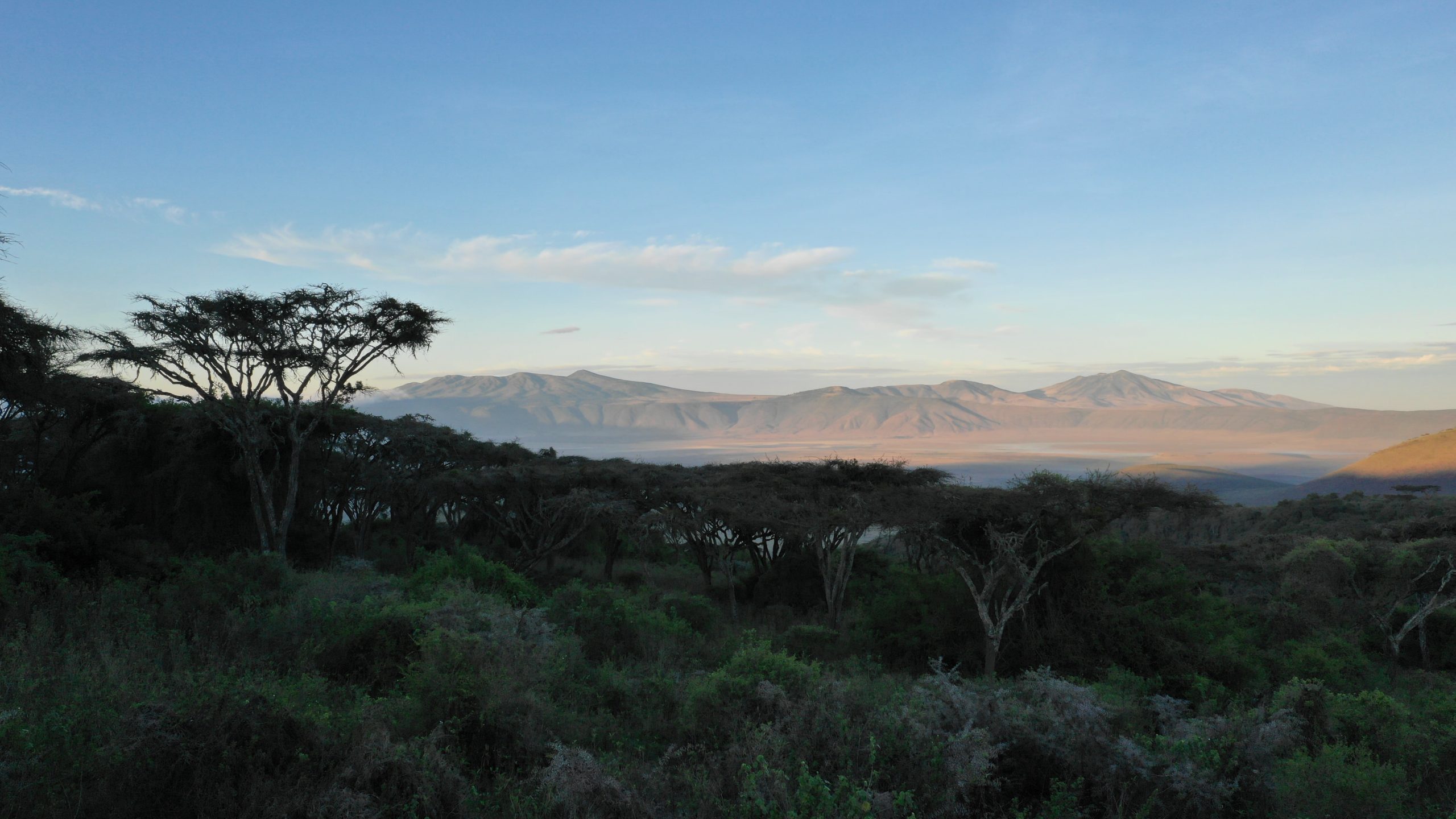 Ngorongoro highlands