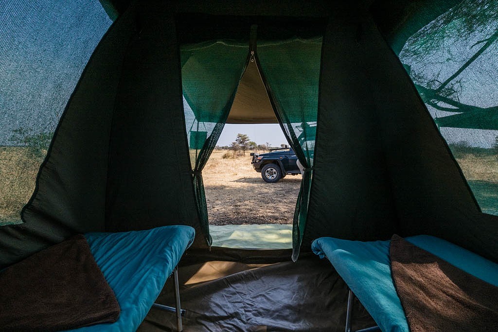 Manyara Ecosystem wilderness